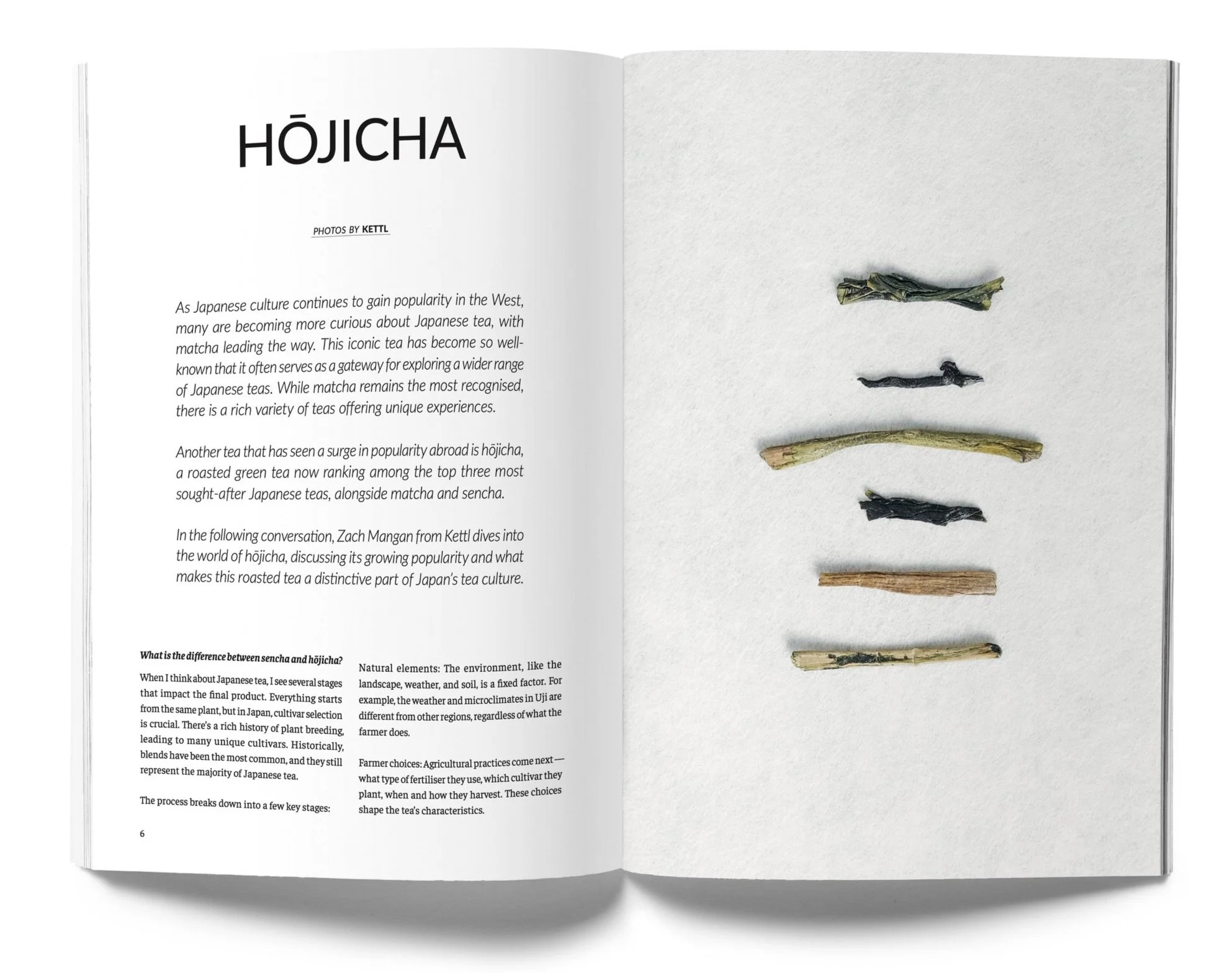 Eighty | Issue 13 – Hōjicha, Warrior Farmers & Tea Across Cultures